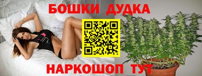 шишки Берёзовский
