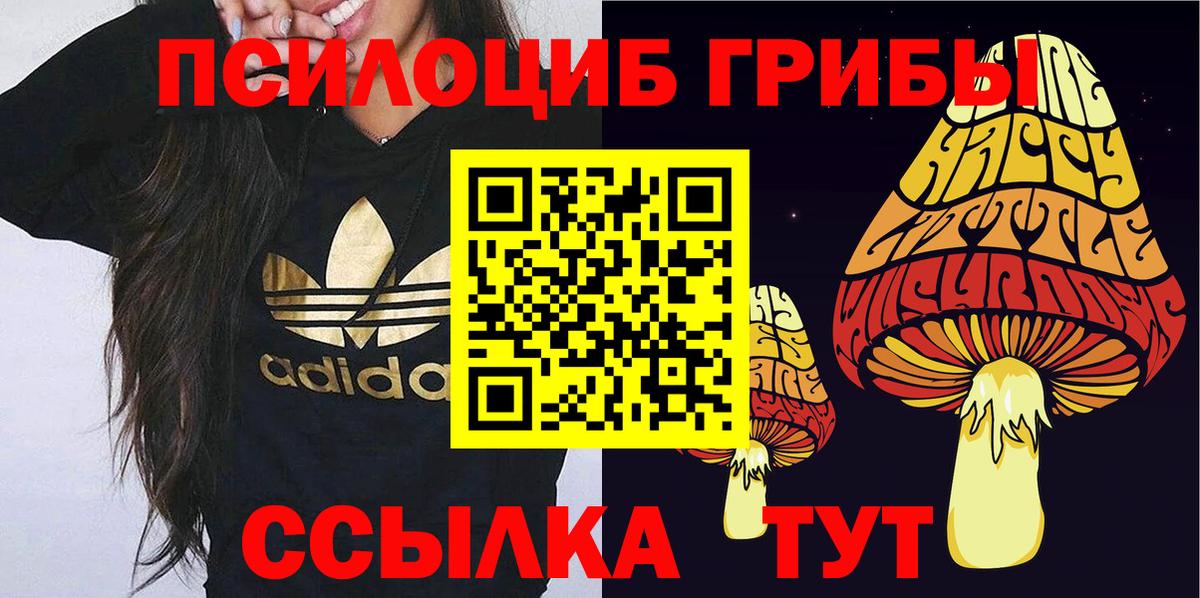 Галлюциногенные грибы Psilocybine cubensis  Вход с VPN  Кашира 