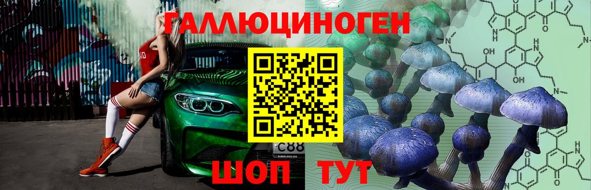 Галлюциногенные грибы Psilocybine cubensis Кашира