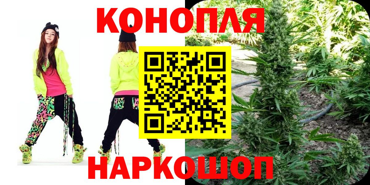 ТГК Кашира